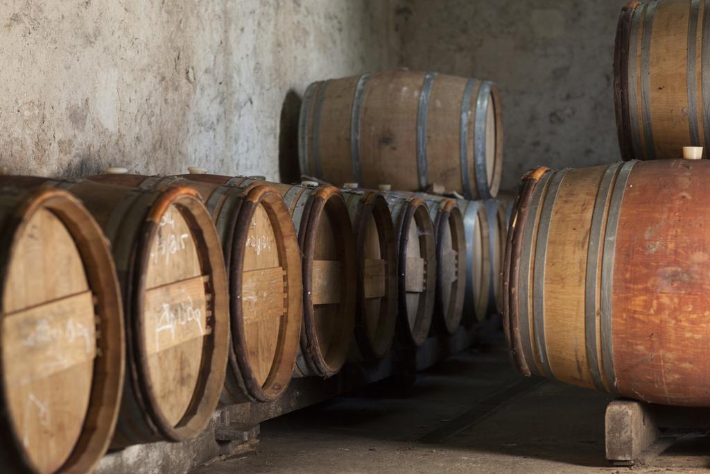 Clos Vieux Rochers Vineyard Puisseguin Exterior foto