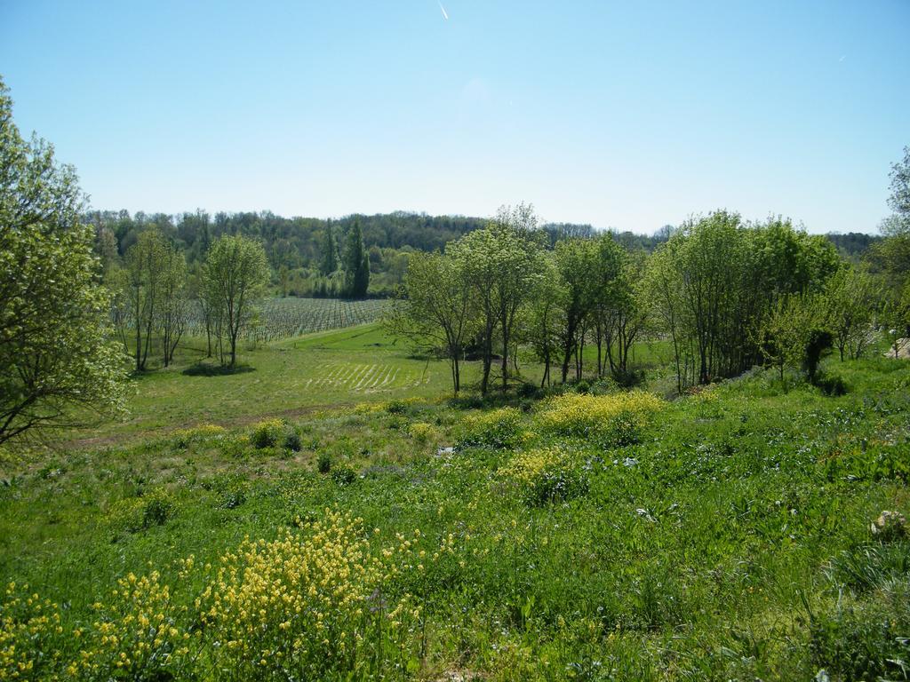 Clos Vieux Rochers Vineyard Puisseguin Exterior foto