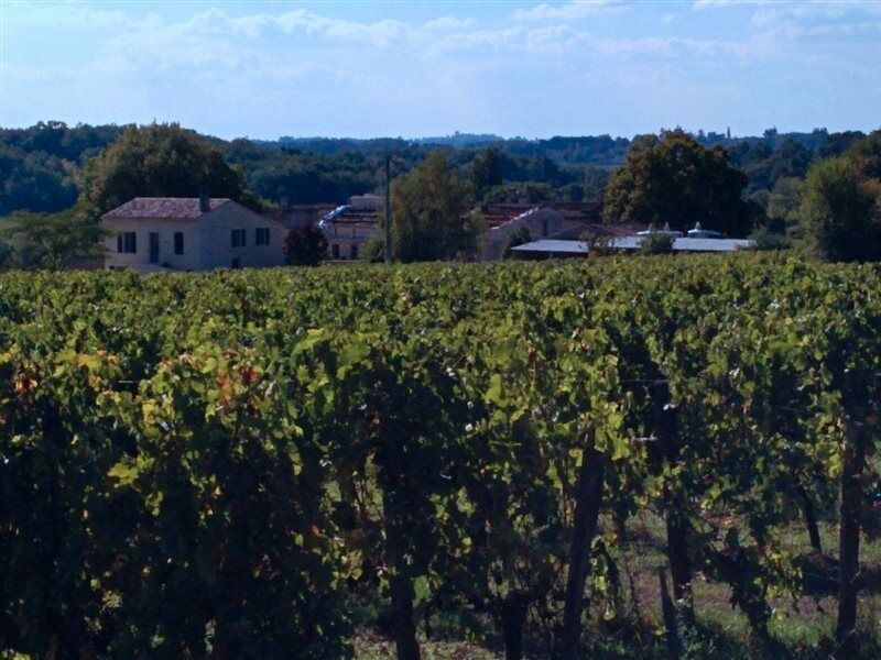 Clos Vieux Rochers Vineyard Puisseguin Exterior foto